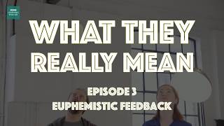 Euphemistic Feedback  What They Really Mean [upl. by Skees]