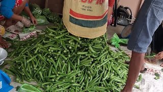 harvest ng Okra 6 youtubeshorts everyone okra [upl. by Twitt918]