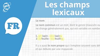 Allô prof  Les champs lexicaux [upl. by Ailina]