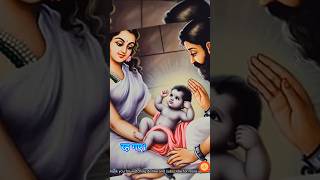 Full Birth Journey of Lord Krishna part 1 shorts [upl. by Cate]