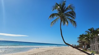 Secrets Tulum Resort amp Beach Club Full Tour Vlog [upl. by Mauchi]