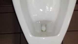 2 American Standard Urinals at Dennys Orange Ave [upl. by Einhapets]