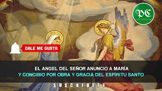 Angelus de Hoy Viernes 01 de NOVIEMBRE de 2024 [upl. by Doner]