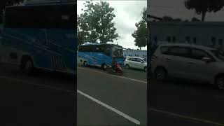 Suasana Penyambutan Kepulangan Jokowi ke Kota Solo [upl. by Mhoj]