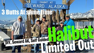 2024 DIY Seward Alaska Self Guided Halibut Day 2 Limited Out [upl. by Alvord]