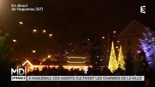 SUIVEZ LE GUIDE  À Haguenau ces agents cultivent les charmes de la ville [upl. by Deery]