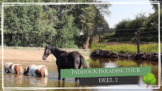 PADDOCK PARADISE TOUR  Deel 2 [upl. by Modestine]