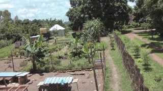 Farming Gods Way in Zambia [upl. by Eamon396]