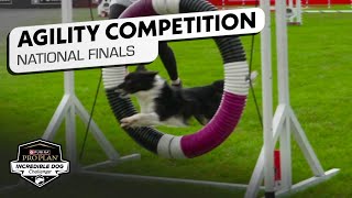 Incredible Dog Challenge Small Dog Agility Competition National Finals  NBC Sports [upl. by Hagile563]