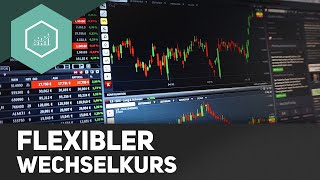 Flexibler Wechselkurs  einfach erklärt [upl. by Elirpa92]