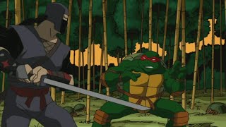 Teenage Mutant Ninja Turtles Season 2 Episode 7  Secret OriginsPart 2 [upl. by Bernj343]