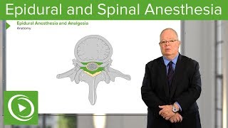 Neuraxial Blocks Epidural and Spinal Anesthesia amp Analgesia – Anesthesia  Lecturio [upl. by Pamelina]