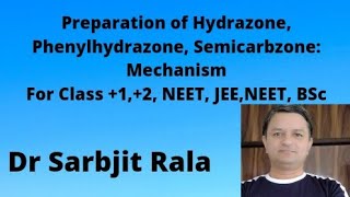 Preparation of Hydrazone from Aldehydes and Ketones Mechanism For 12 NEET JEE [upl. by Guy]