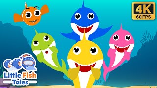 Baby Shark Learns Colors  Little Fish Tales Nursery Rhymes amp Kids Songs [upl. by Freya304]