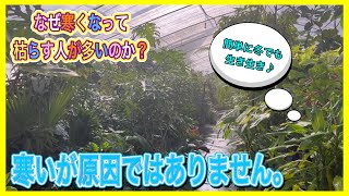 【なんで失敗する人が多いのか】答えは簡単です。○○多すぎ⤴︎ [upl. by Ytirev]