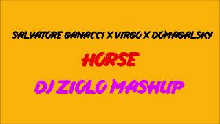 Salvatore Ganacci x Virgo x Domagalsky  Horse DJ ZIOLO MASHUP [upl. by Head]