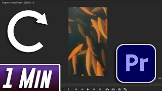 Premiere Pro  How to Rotate Video Portrait to Landscape [upl. by Yraeg44]