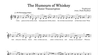 Hozier  The Humours of Whiskey a cappella  Transcription [upl. by Sabrina]