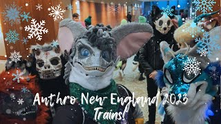 Anthro New England 2023 Trains [upl. by Yauqaj]