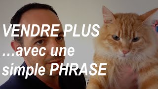 Comment vendre PLUS avec une simple PHRASE [upl. by Flavio]