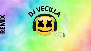 zapatito roto x conteo DJ VECILLA MASHUP [upl. by Mosley]