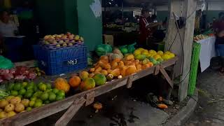 Passeio rápido pela feira livre de Viçosa Alagoas [upl. by Tlok]