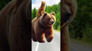 Beast Bear attack cute kittens cutecat catlover catvideos trendingshorts [upl. by Snah]