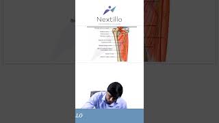 Muscles of Lower Limb  Nextillo  Dr Mohsin [upl. by Hehre]