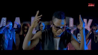 Malaika Music Band  Amerudi Official Music Video [upl. by Allehc]