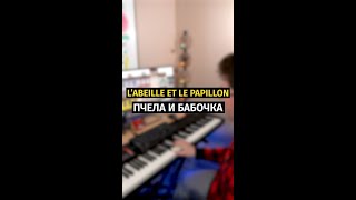 Labeille Et Le Papillon Пчела и Бабочка  Piano Cover shorts [upl. by Ajin818]