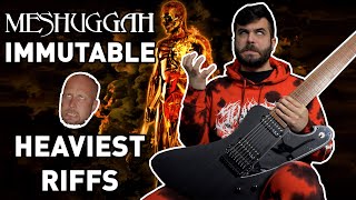 MESHUGGAH  Immutable But Its Only The Heaviest Riffs [upl. by Trofmoc]