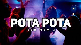 POTA POTA  SEB REMIX  disco tanah [upl. by Gayn]