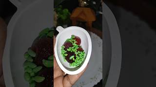 😂 jelly with green mitha saunf 💚🥰 Kinder Joy popsicle 🥰viralvideo shortsviral [upl. by Drofiar]