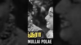 வசந்த முல்லை போலே Vasantha mullai pole tamilsongduet loveshortsshortshortvideo shortsvideo [upl. by Carroll]