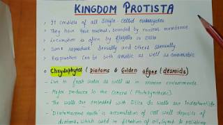 Class 11th  Kingdom protista  Biological Classification Part2  Chapter2 NOTES [upl. by Lednyk607]