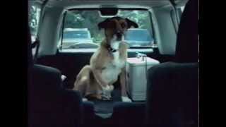 Puppy Commercial Honda CRV [upl. by Deborah]