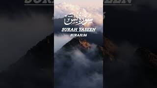 Surah Yasin  Yaseen  Beautiful Recitation 🌸surahyaseen beautifulrecitation [upl. by Esoranna779]