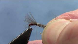 Fly Tying with Hans CDC MIDGE EMERGER [upl. by Oakie]