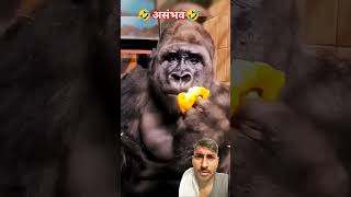 Very talented magic🤔🔥 funny monkey comedy trendingshortsyoutubeviralvideo [upl. by Jahdiel]