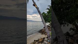 Travel vlog Thailand Koh Phangan sunset at the beach phangan kohphangan kohphanganthailand [upl. by Rozele10]