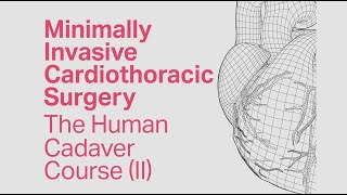 Minimally Invasive Cardiothoracic Surgery  The Human Cadaver Course II [upl. by Ynetsed]