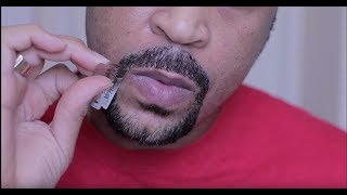 Goatee Under 15 Minutes [upl. by Anrak]