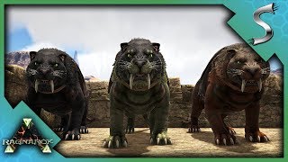 HIGHLEVEL SABERTOOTH PACK TAMING  Ark RAGNAROK DLC Gameplay S3E9 [upl. by Resor152]