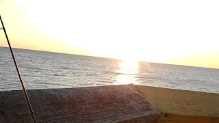 Myrtle beach pier fishing [upl. by Itraa]