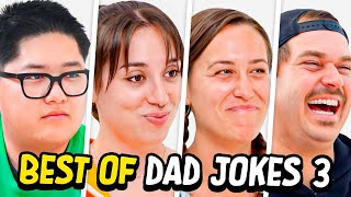 Dad Jokes  Dont laugh Challenge  Best Moments 3  Raise Your Spirits [upl. by Mansoor46]