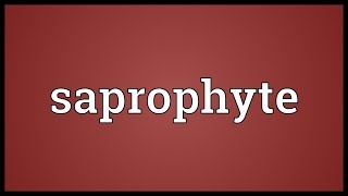 Saprophyte Meaning [upl. by Eidur]