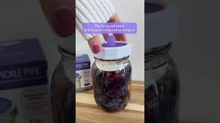 What Makes Masontops Special  Delicious amp GutHealthy Fermentation Recipes shorts fermentation [upl. by Kcirdaed]