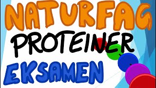 Naturfag muntlig eksamen  Næringsstoffene Proteiner [upl. by Rowland485]