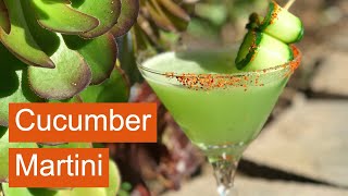 How to make the best CUCUMBER MARTINI  easy vodka recipe  Cucumber cocktail [upl. by Onitselec]