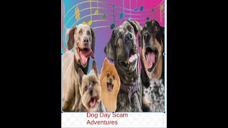 Dog Day VS Scammers [upl. by Nahgeam301]